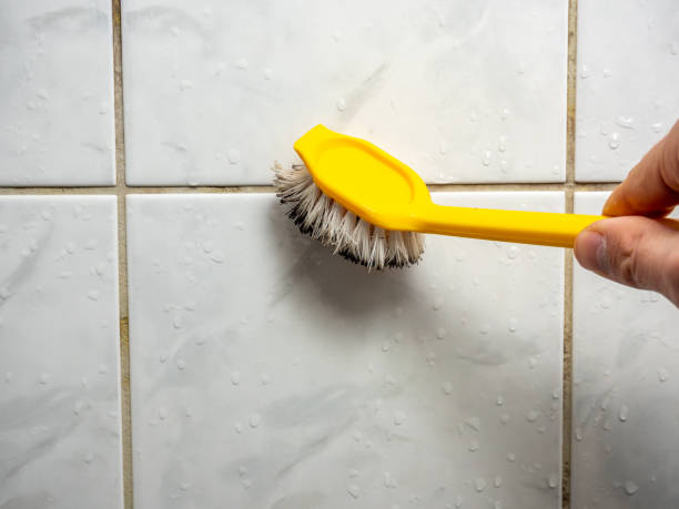 Best Mold Removal Company Near Me  in Cibecue, AZ