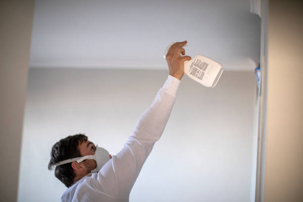 Best Certified Mold Removal  in Cibecue, AZ
