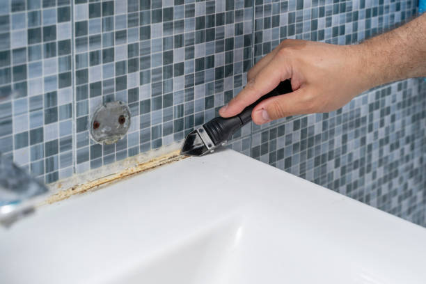 Best Mold Removal Company Near Me  in Cibecue, AZ